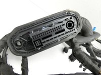 BMW F06 640d 12-18 Gran Coupe Kabelbaum für Tür und Fensterheber Links Hinten BMW F06 640d 12-18 07.02.2018 9355663... Vorschau 2