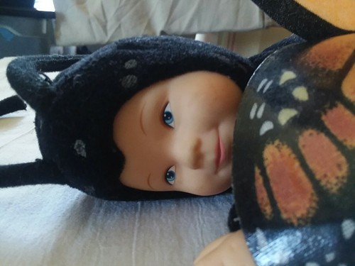 BABY BUTTERFLIES BY ANNE GEDDES - BEAN FILLED COLLECTION Monarch