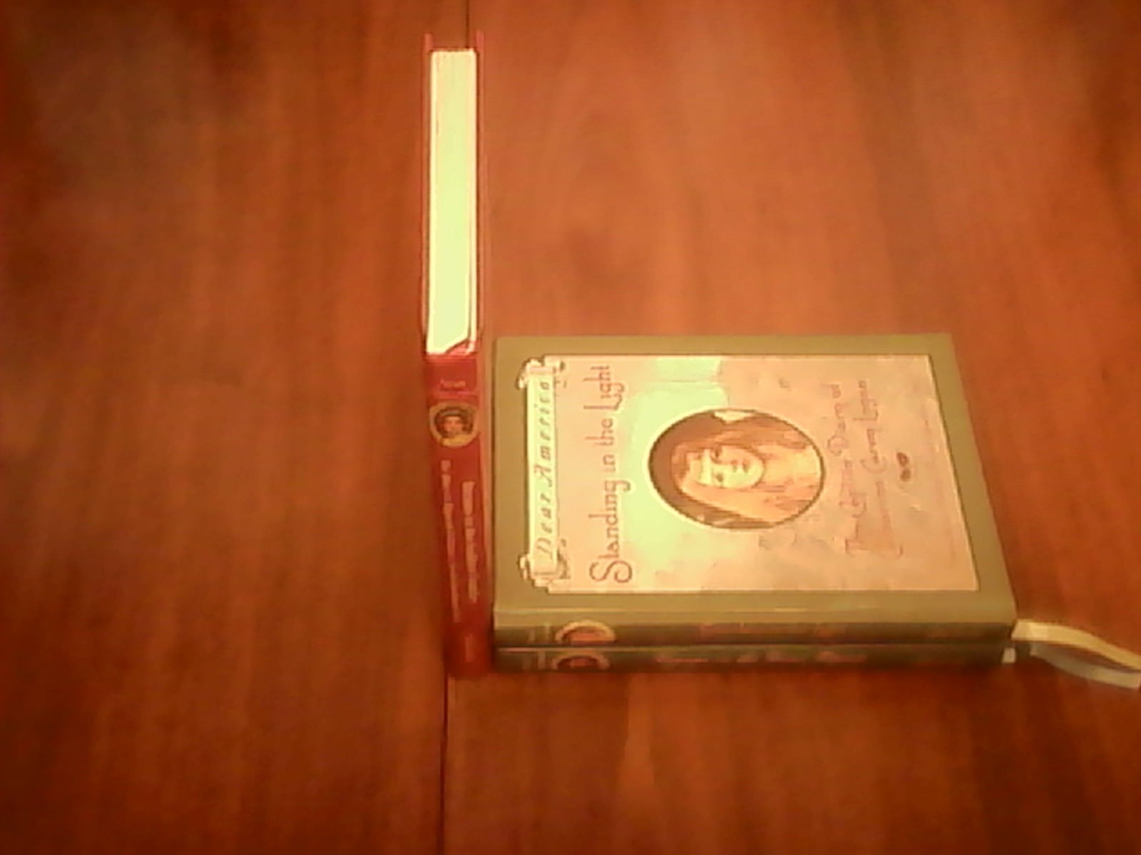 DEAR AMERICA BOOKS LOT OF 3 TITANIC, STANDING IN THE LIGHT, THE GOLDEN COUNTRY