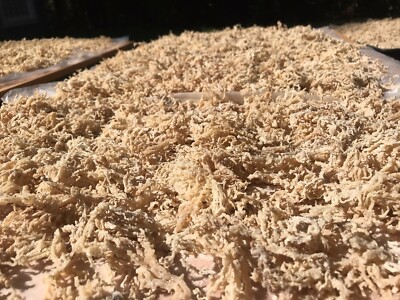 SEA MOSS WILD OCEAN 1 LB $19.99 FREE SHIPPING DR SEBI ADVISED GOOD IRISH MOSS