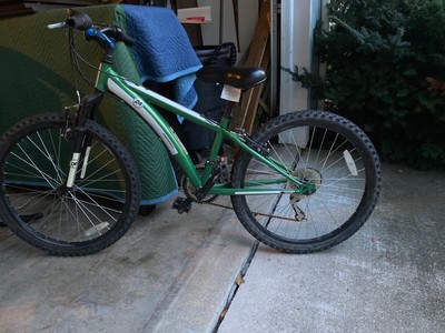 diamondback zoom 381