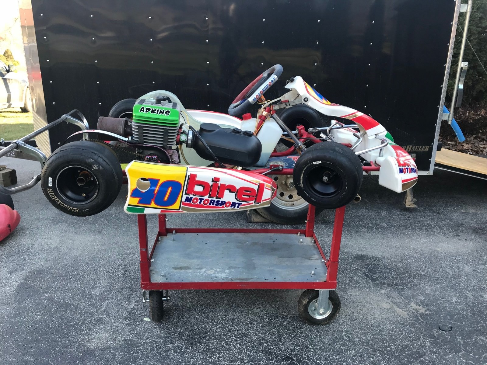 Birel Cadet Kart with Yamaha KT100