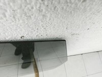 Audi Q5 8R 12-17 Seitenscheibe LHK für Tür Fenster Scheibe Links Hinten Orig. getönt Audi Q5 8R 12-17 26.10.2016... Vorschau 2