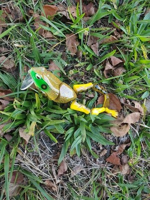 Artikelfoto(s) von einem verifizierten Käufer