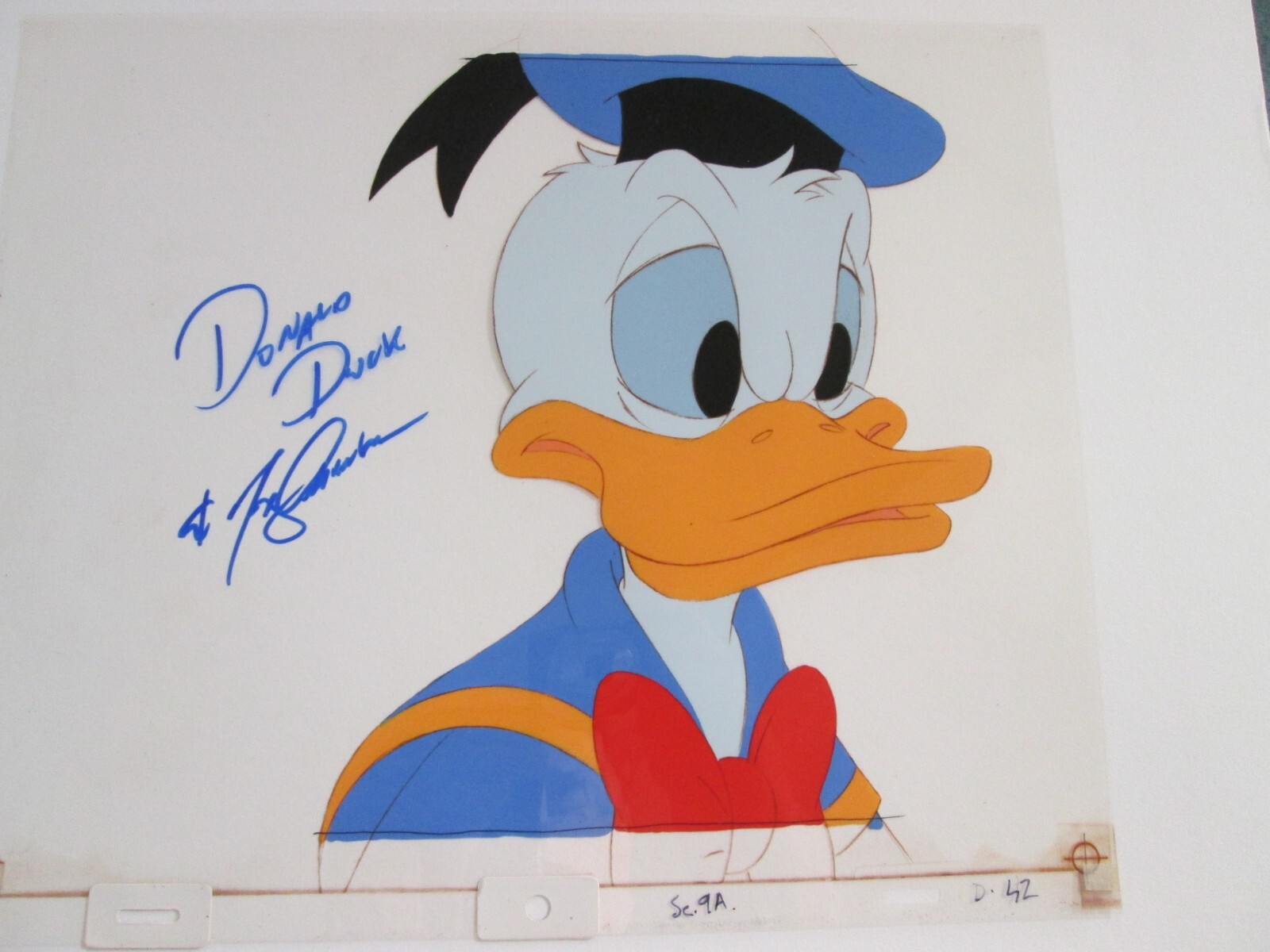 Disney Donald Duck Photograph トニーアンセルモ Disney Donald Duck Tony Anselmo signed production Cel huge 9