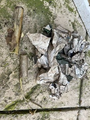 Foto dell'oggetto di un acquirente verificato