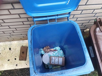 Artikelfoto(s) von einem verifizierten Käufer