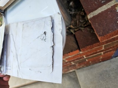 Artikelfoto(s) von einem verifizierten Käufer