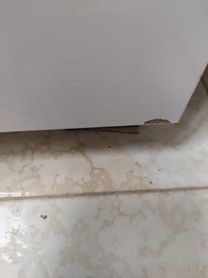 Foto dell'oggetto di un acquirente verificato