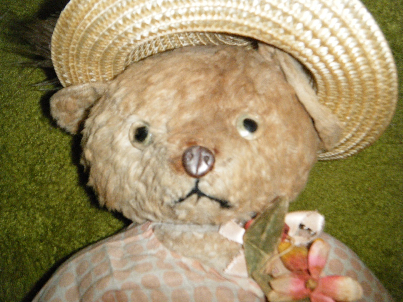 OFF WHITE  KNICKERBOCKER BEAR, METAL NOSE, 1930'S