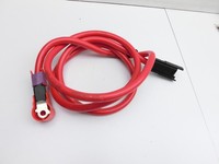 Tesla Model 3 LR Highland HV Kabelbaum für Batterie 16V Tesla Model 3 LR Highland 16.01.2024 gebraucht Vorschau 2