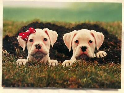 Avanti Press Valentine's Day Greeting Card ''I dig you, big time!.NEW (A34)