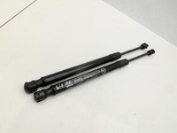 Hyundai Santa Fe IV TM 18-20 Dämpfer Gasfeder für Motorhaube Vorne Hyundai Santa Fe IV TM 18-20 01.01.2019... Vorschau 1