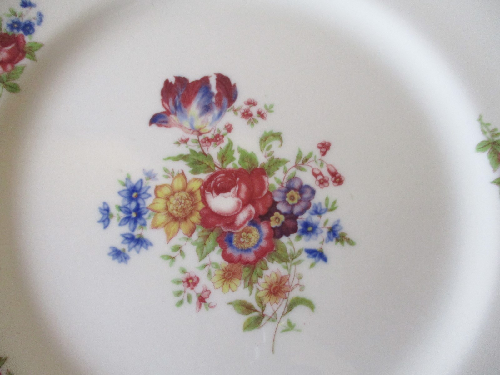 10 Syracuse Colonial Plates 8 1/4