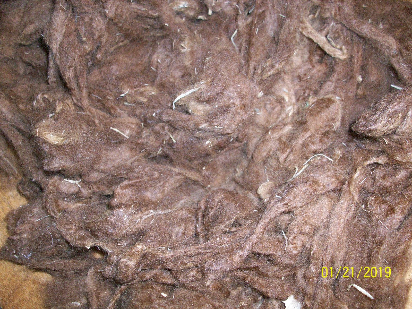 Cinnamon alpaca prime fiber, super soft, nice crimp, washed 8 oz