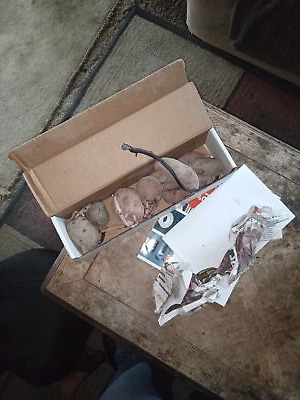 经认证买家提供的物品图片