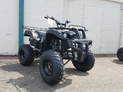 New Tao Motor bull 150 atv 150cc for sale Automatic w/ Reverse Free shipping atv