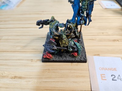 Conquest - Dweghom Hold Raegh Painted