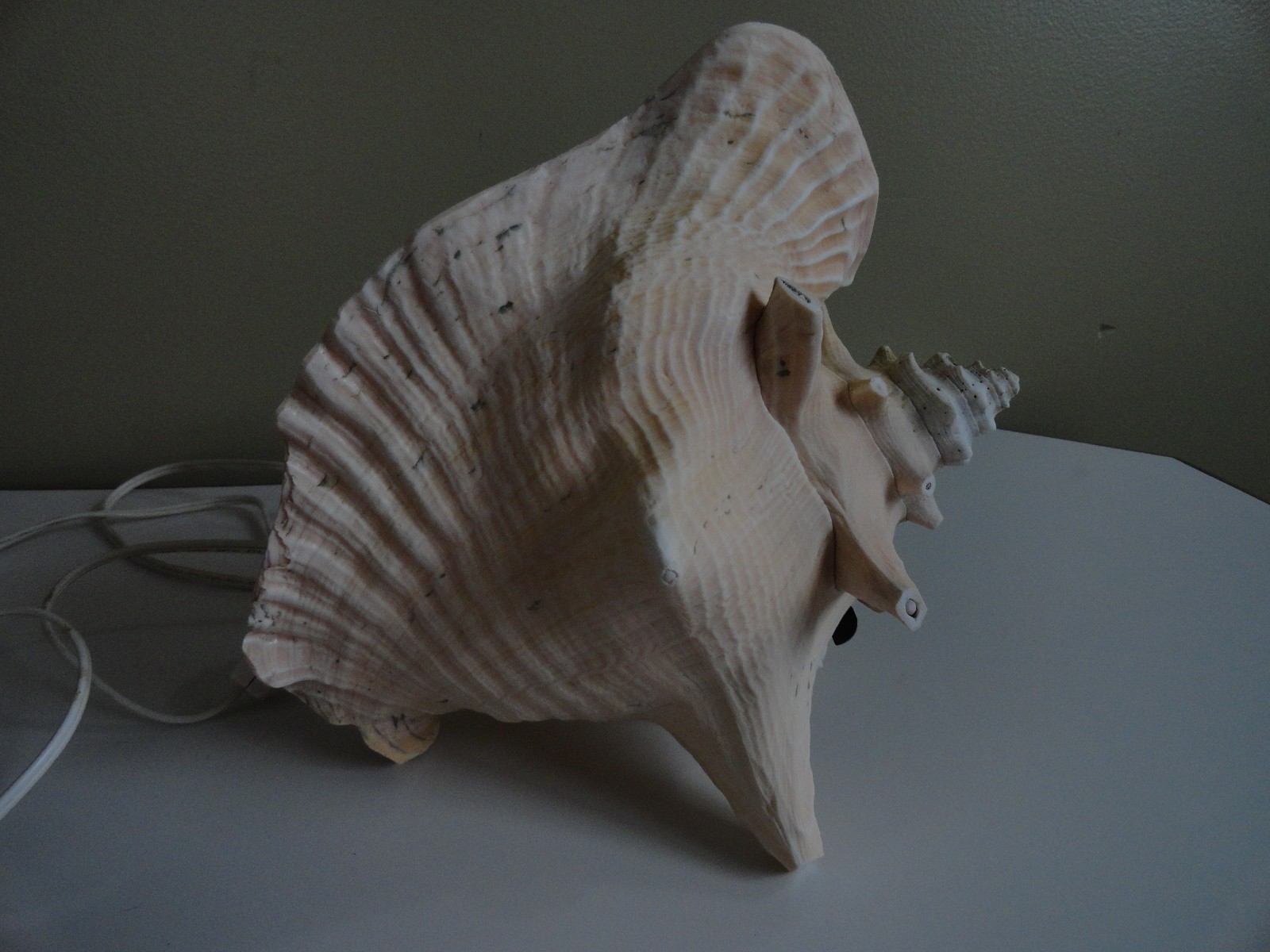 Vintage Large Conch Pink glowing Seashell Sea Shell TV Night Light 9