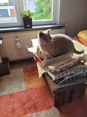 Objectfoto('s) van geverifieerde koper