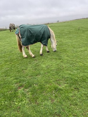 Fotos del artículo de un comprador verificado