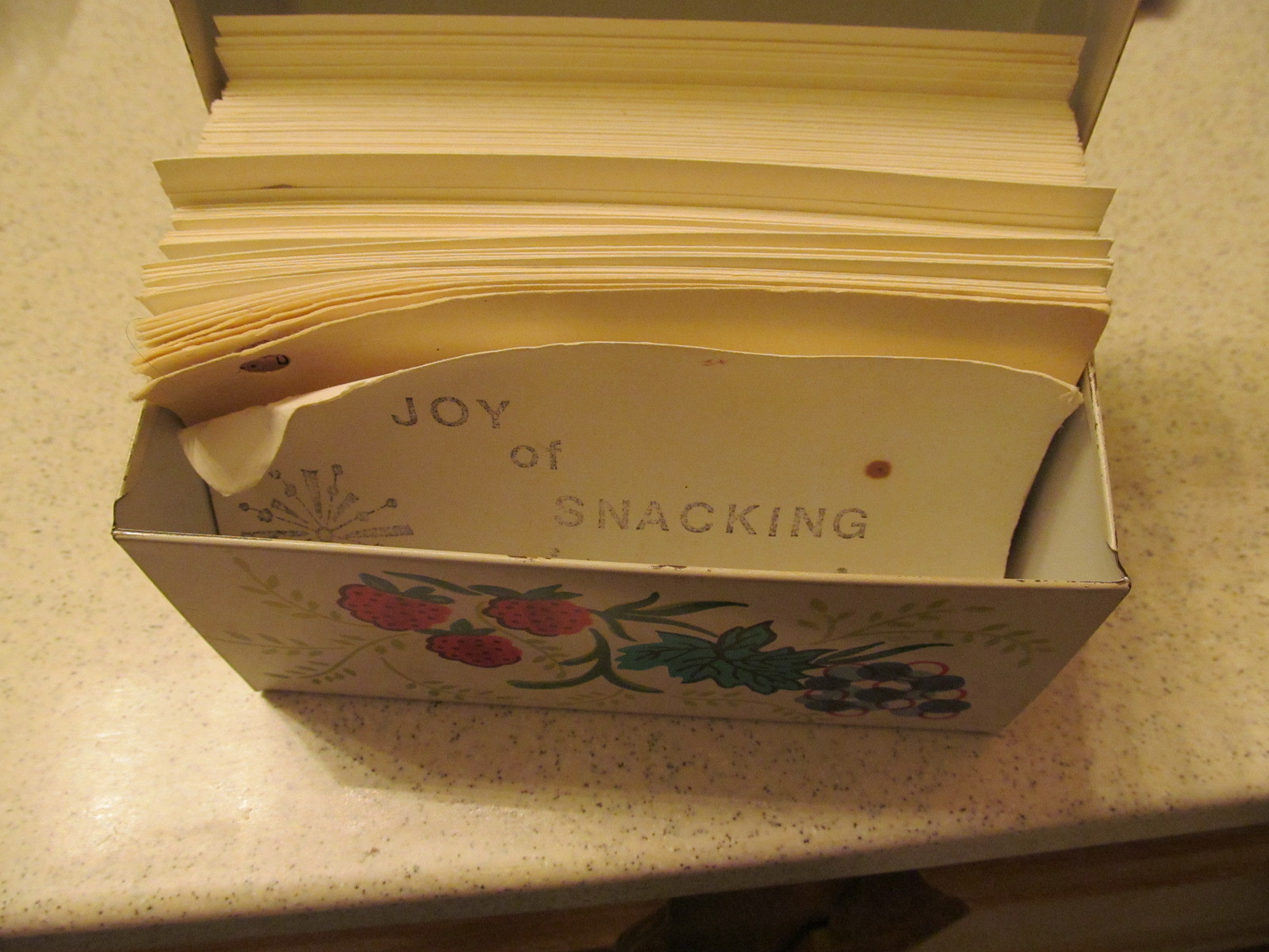 J Chen & Co~Fruit Theme~Recipe Card Holder Box~Lake City, Iowa~Full of Recipes