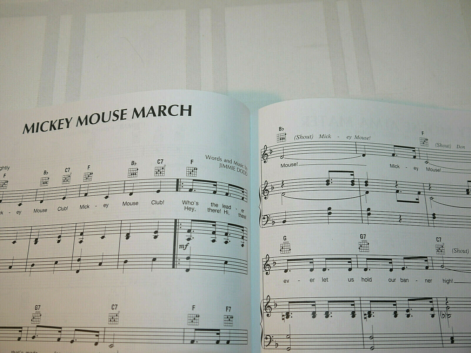 The Disney Collection Songbook of Best Loved Movies,TV & Theme Parks Hal Leonard