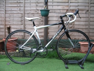 Giant scr4 2024