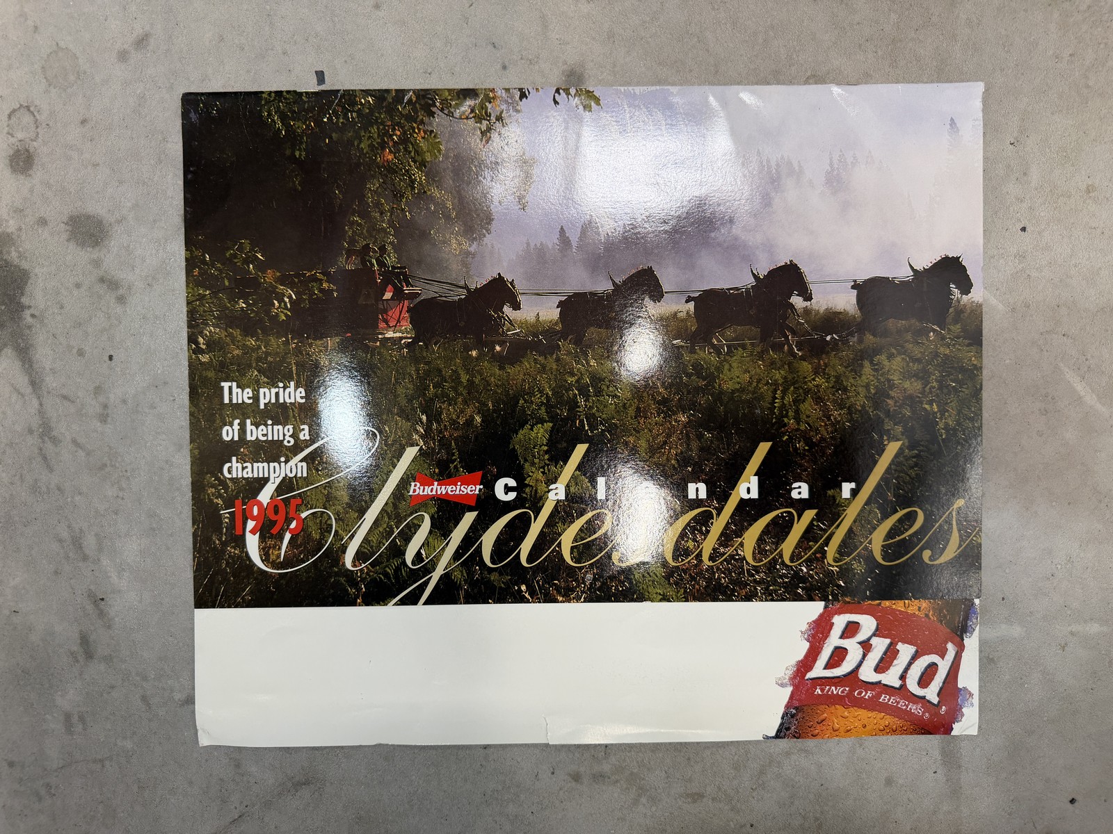 Budweiser Beer Clydesdales 1995 Calendar: 17 x 14
