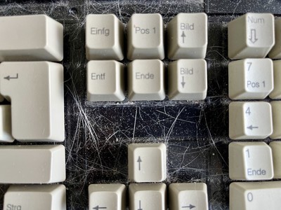 Artikelfoto(s) von einem verifizierten Käufer