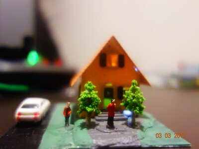 Country House with people ,landscaped ,cars , lighted