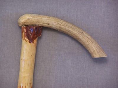 37 INCHES LONG DIAMOND WILLOW CANE / WALKING STICK WITH DEER ANTLER HANDLE