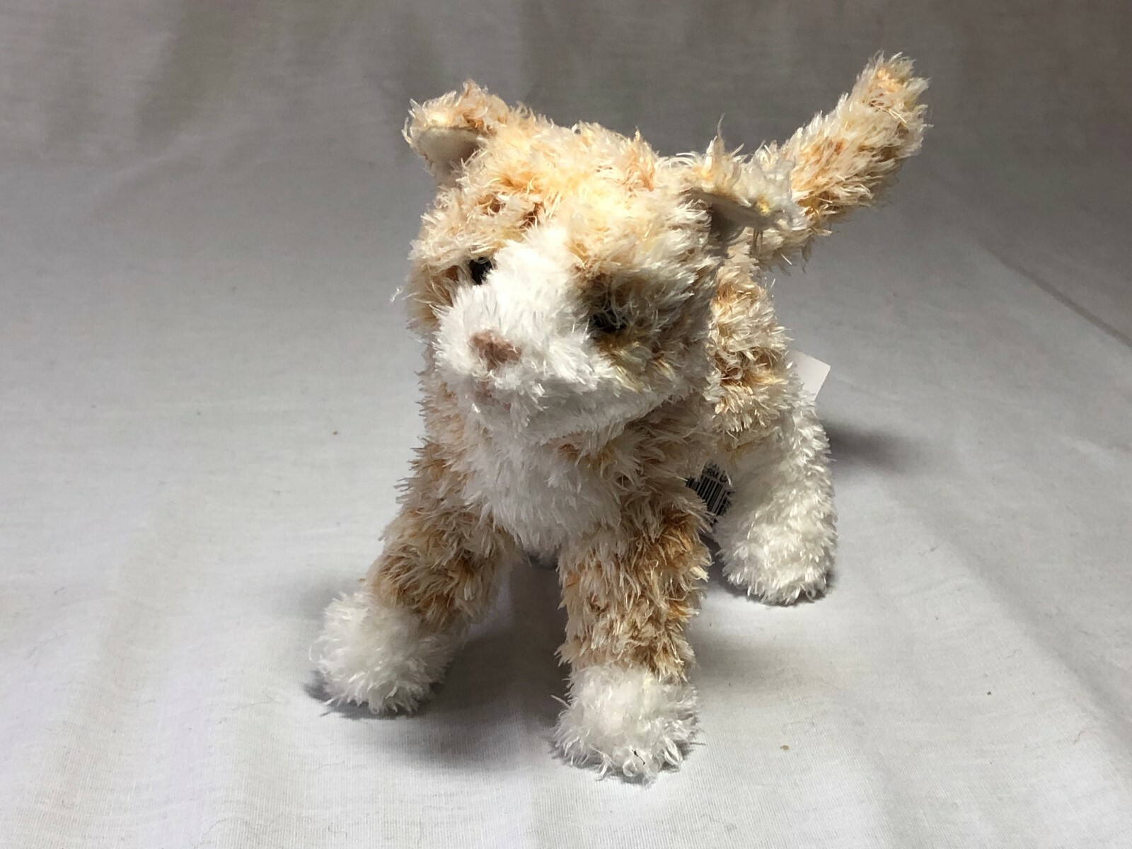 Seabreeze Orange Cream Cat Lil' Nugget by Douglas Cuddle Toys, about 6/12