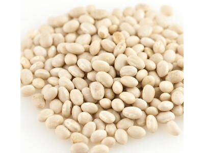 Organic Navy Bean Beans 5 Pounds Free Shipping