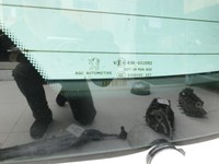 Peugeot 308 I T7 07-11 Kombi Heckscheibe Rückwand Autoglas Peugeot 308 I T7 07-11 30.09.2008 8744FG gebraucht Vorschau 7
