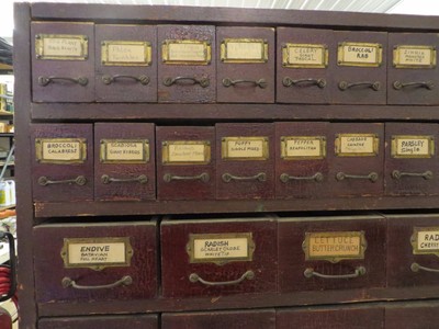 ANTIQUE GENERAL STORE WOOD COUNTER SEED CABINET 38