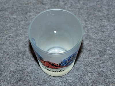 FROSTED SHOT GLASS…FLORIDA