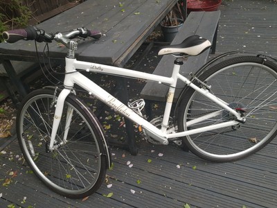 pendleton dalby bike