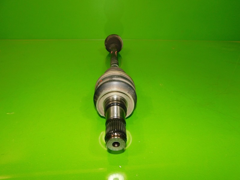 Picture 3
