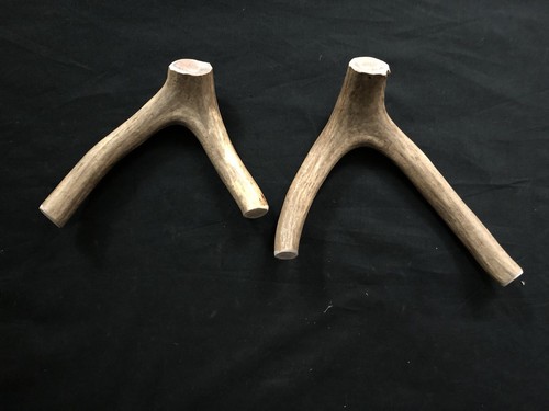 2 Extra Large Multi-Forked Deer Antler Dog Chew -Free Shipping!!!