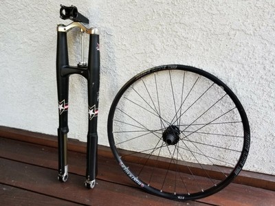 paint carbon fork