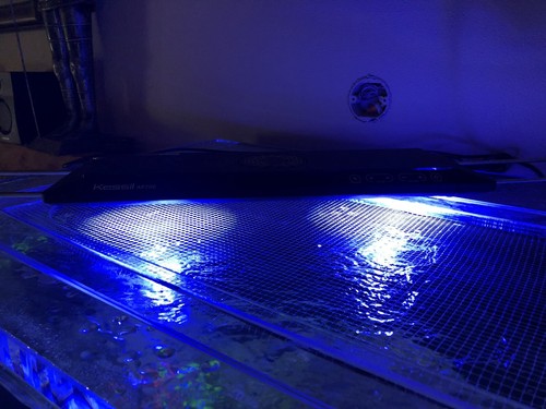 KESSIL AP700 LED WIFI AQUARIUM LIGHT - OPEN BOX Used 3 Months