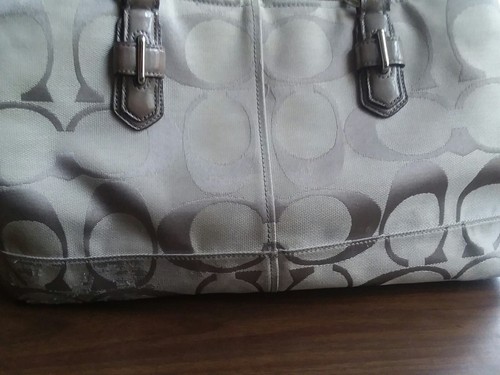 Silver Coach Purse
