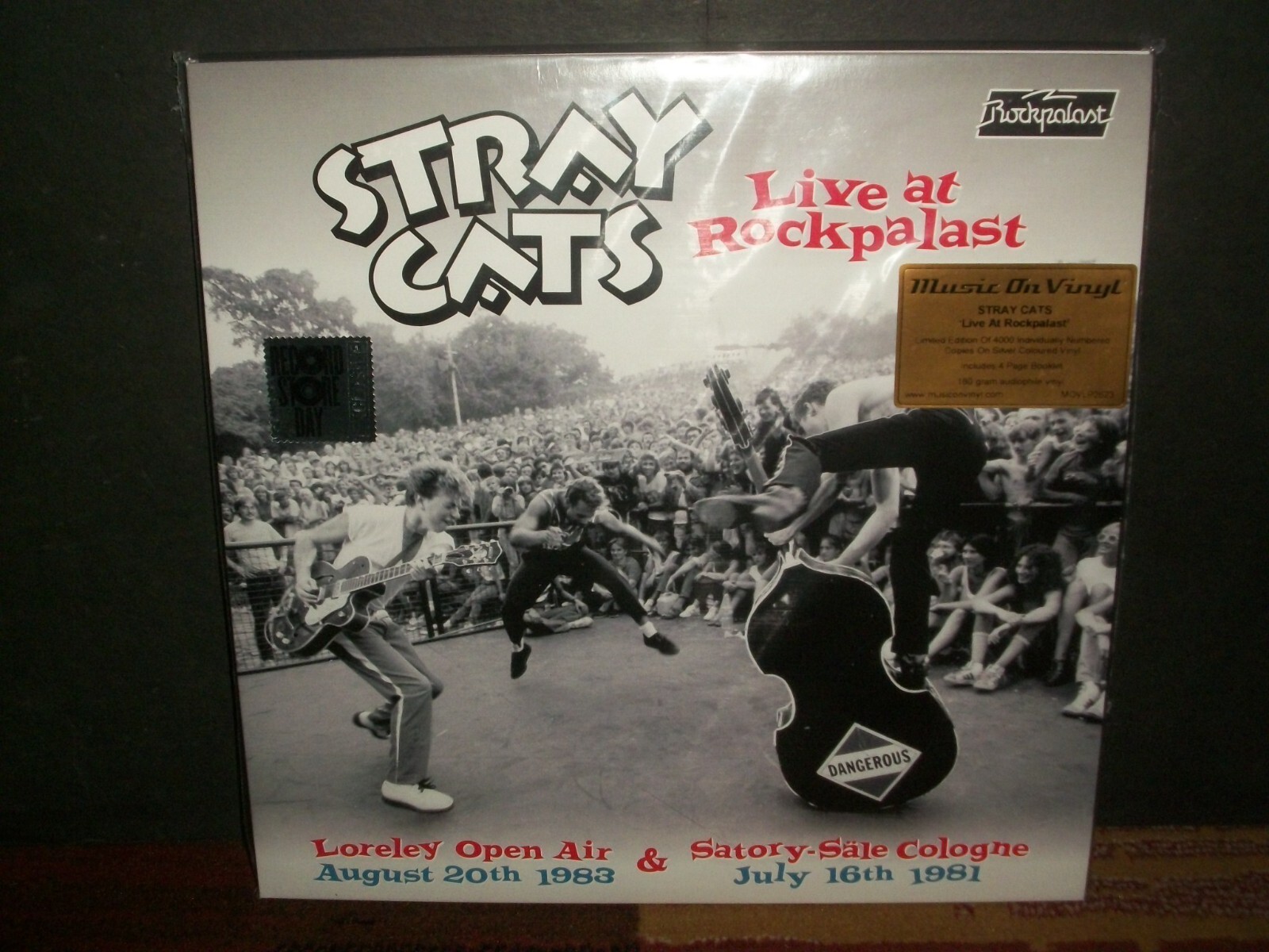 STRAY CATS ストレイキャッツ (結成 45周年 ) - 40 (初回限定盤)【CD+T