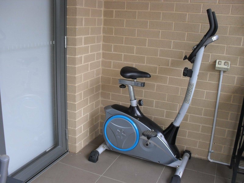 eagle exercise bike