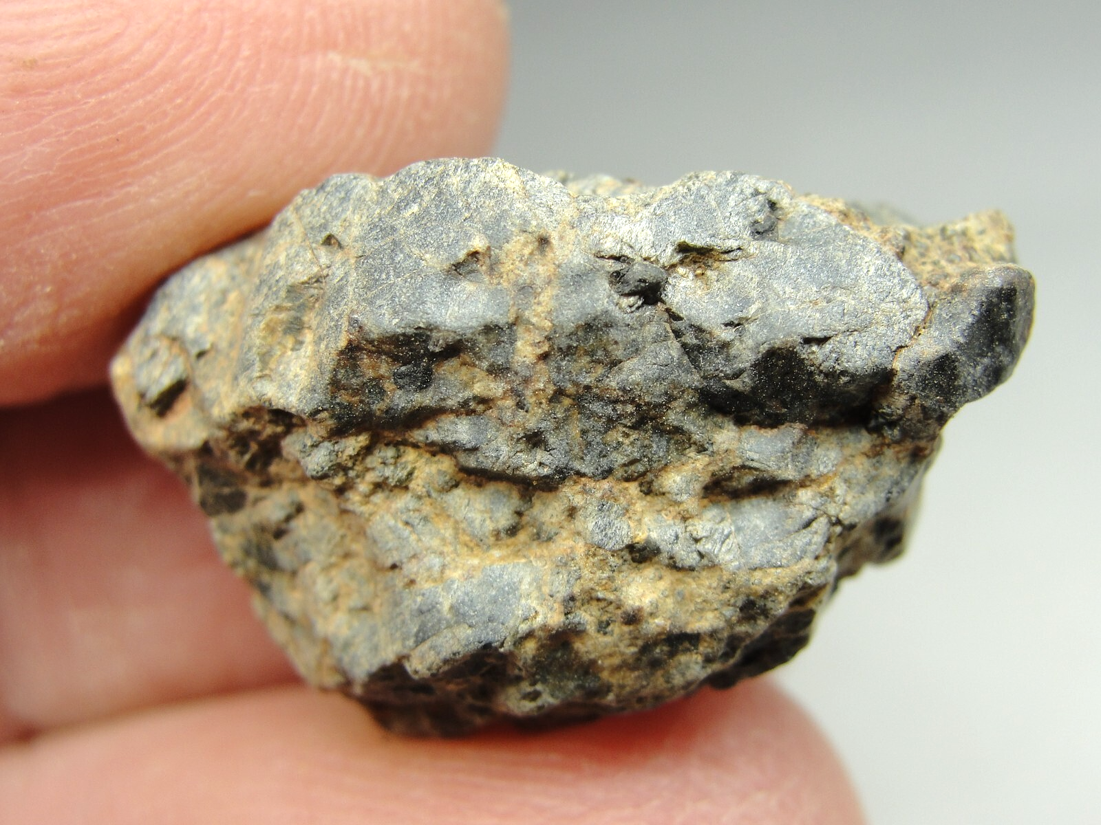 Taoudenni - Diogenite Meteorite - TAO-0347 - 7.02g - COA