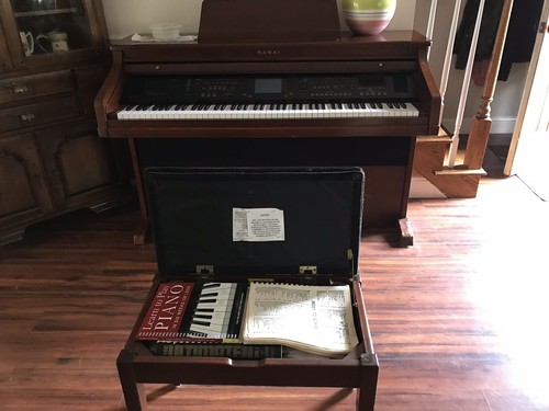 Beautiful Kawai Upright Electric Piano. Slightly used. Immaculate!
