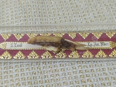 42++ 2nd barbaric relic english edition ideas in 2021