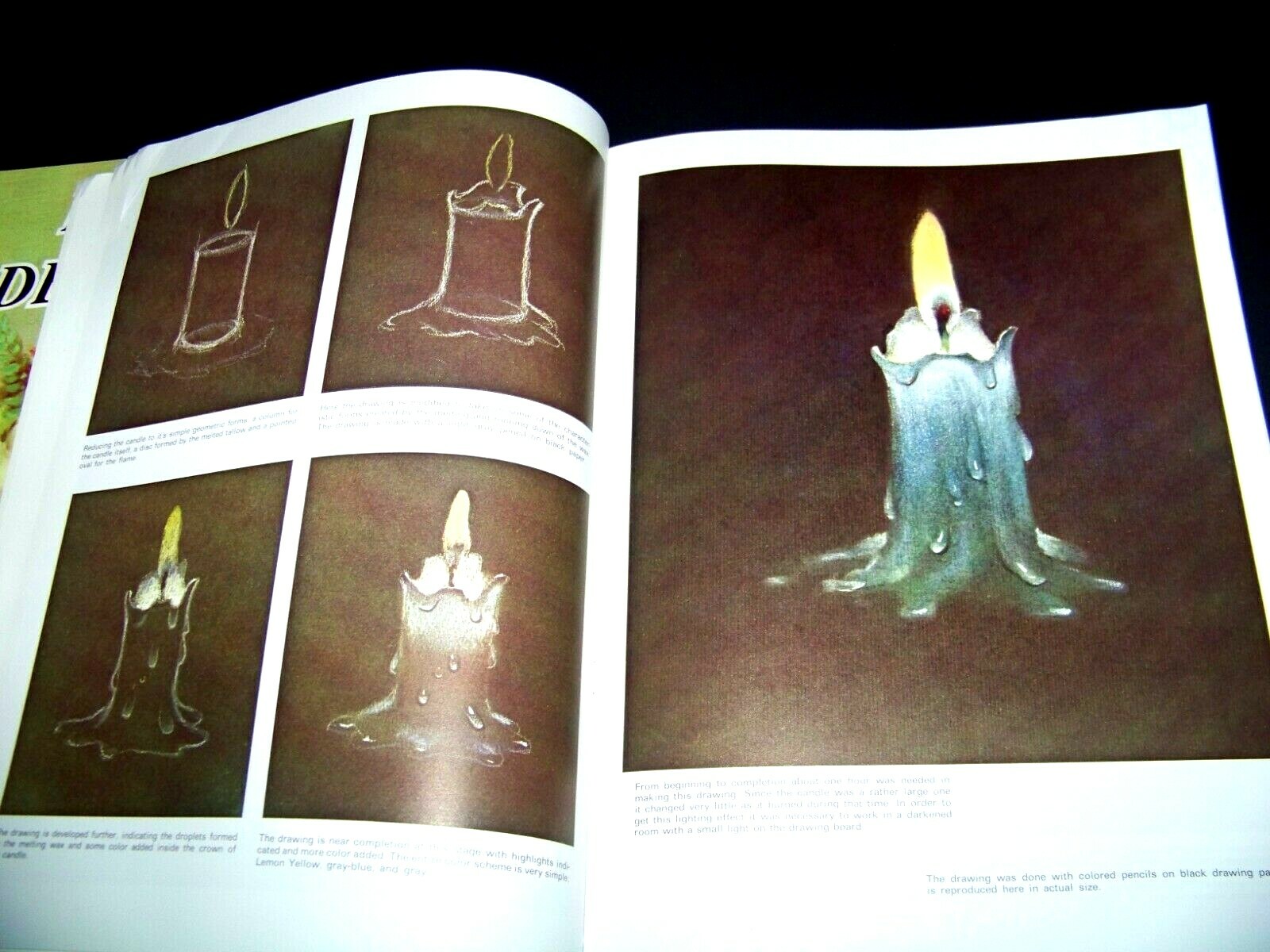 2 Art Books by Walter Foster Secrets And Shortcuts   Flowers and Designs to Copy