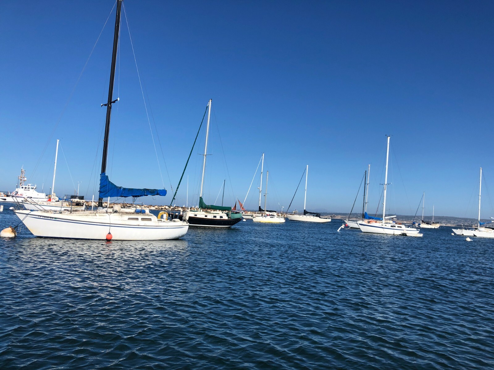 Santana Sailboat 22' with Mooring - Monterey CA